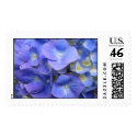 Blue Hydrangea Stamp by DawnyBelle Blue Hydrangea Stamp