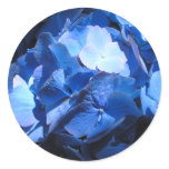 Blue Hydrangea - Sticker