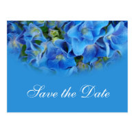 Blue hydrangea  wedding save the date postcards. post cards