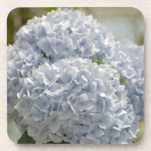 Blue Hydrangeas Beverage Coasters