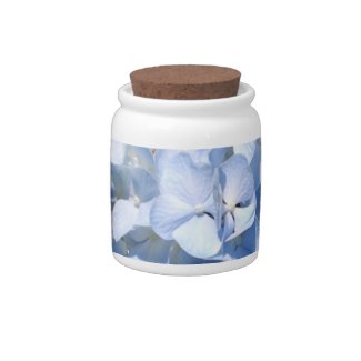 Blue Hydrangeas