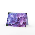 Blue Hydrangeas cards by ggbythebay Blue Hydrangeas cards