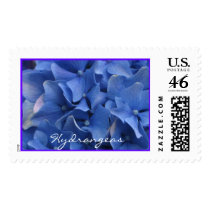 Blue Hydrangeas postage by ggbythebay Blue Hydrangeas postage