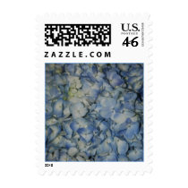 Blue Hydrangeas postage