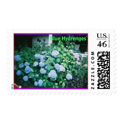 Blue Hydrenges, Blue Hydrenges Postage by herald51
