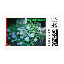 Blue Hydrenges, Blue Hydrenges postage by herald51 Blue Hydrenges, Blue Hydrenges postage
