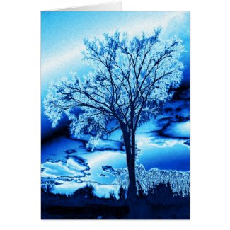 Blue Iced Tree Card (blank)