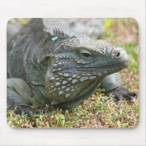 Blue Iguana Cayman Islands Mouspad mousepads by Poohkie13 Blue Iguana Cayman Islands Mouspad mousepads