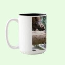 Blue Iguana mugs
