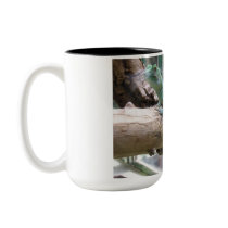 Blue Iguana mugs