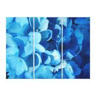 blue impression, hydrangea flowers canvas prints