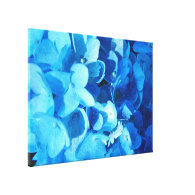 blue impression - summer hydrangea flowers gallery wrapped canvas
