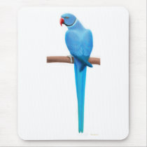 Blue Indian Ringneck Parrakeet Mousepad
