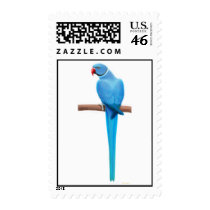Blue Indian Ringneck Parrakeet Postage postage