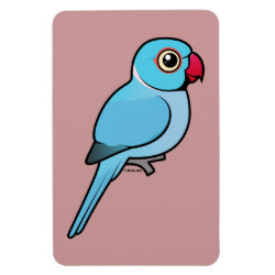 Blue Indian Ringneck 4