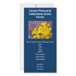 Blue Invitations Photocards Events Daffodils Photo Card
