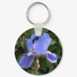 Blue Iris 1