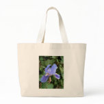 Blue Iris 2