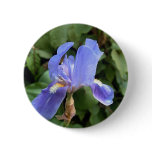 Blue Iris 2