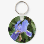 Blue Iris 2