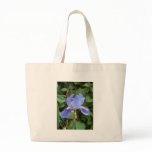 Blue Iris 3