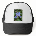 Blue Iris 3