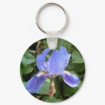 Blue Iris 3