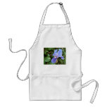 Blue Iris 4