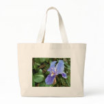 Blue Iris 4