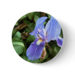 Blue Iris 4