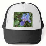 Blue Iris 4