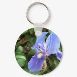 Blue Iris 4