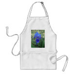 Blue Iris 5