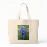 Blue Iris 5