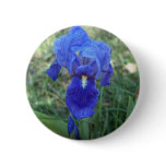 Blue Iris 5