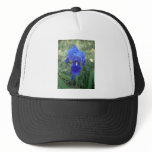 Blue Iris 5