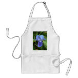 Blue Iris 6