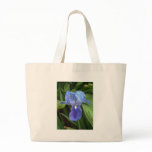 Blue Iris 6