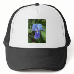 Blue Iris 6