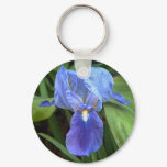 Blue Iris 6