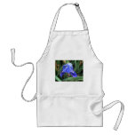 Blue Iris 7