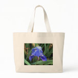 Blue Iris 7