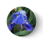 Blue Iris 7