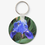Blue Iris 7