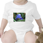 Blue Iris 7