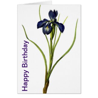 blue iris blank birthday card