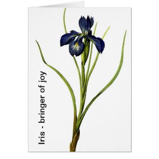 blue iris blank greeting card