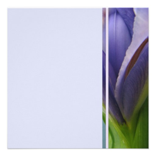 Blue Iris Bridal Shower Invitation