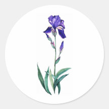 Blue Iris by PMACarlson Sticker