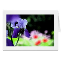 Blue Iris Card by cheycobb Blue Iris Card